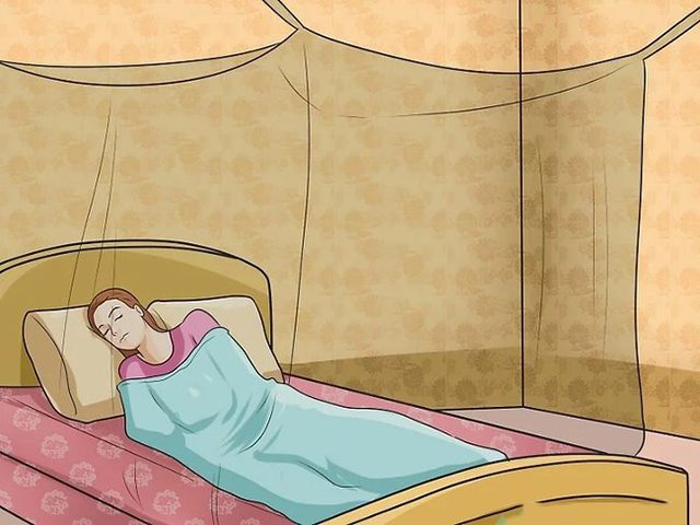 Cách đuổi con dĩn 7