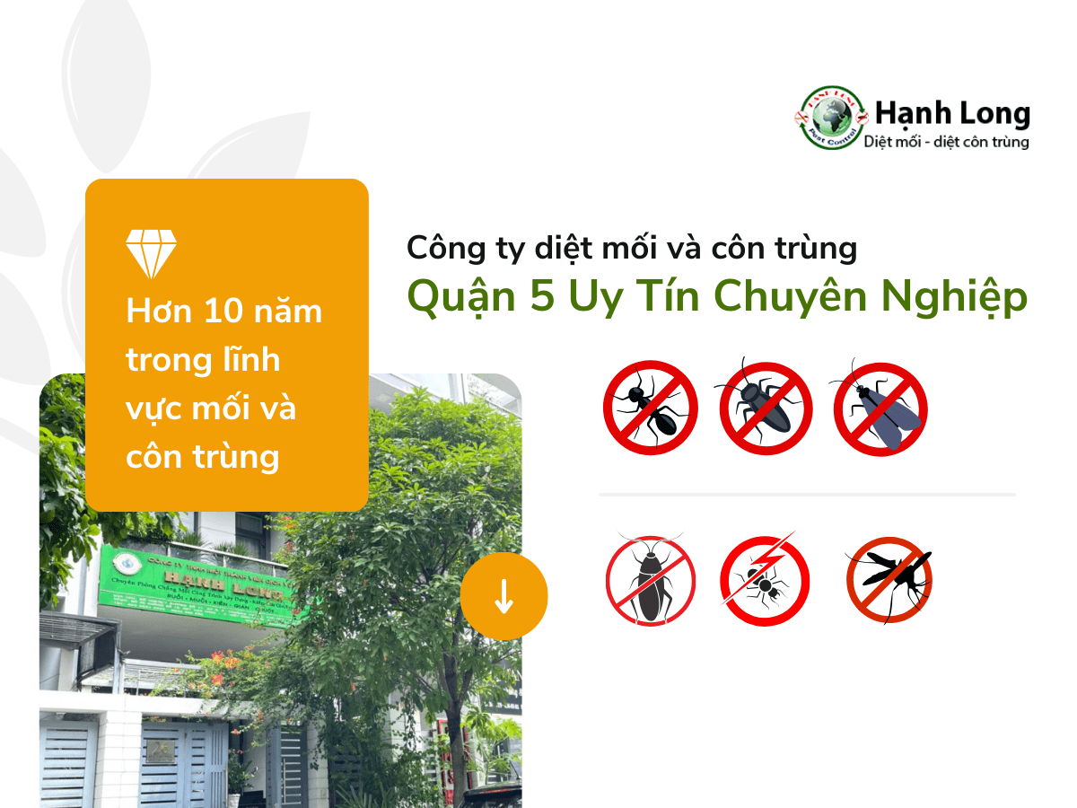 Diệt Côn Trùng Quận 5