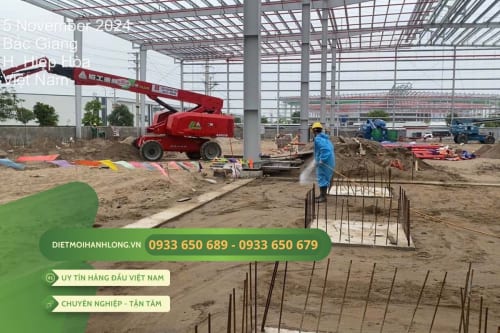 Triển khai thi công chống mối cho dự án MAPLETREE BẮC GIANG