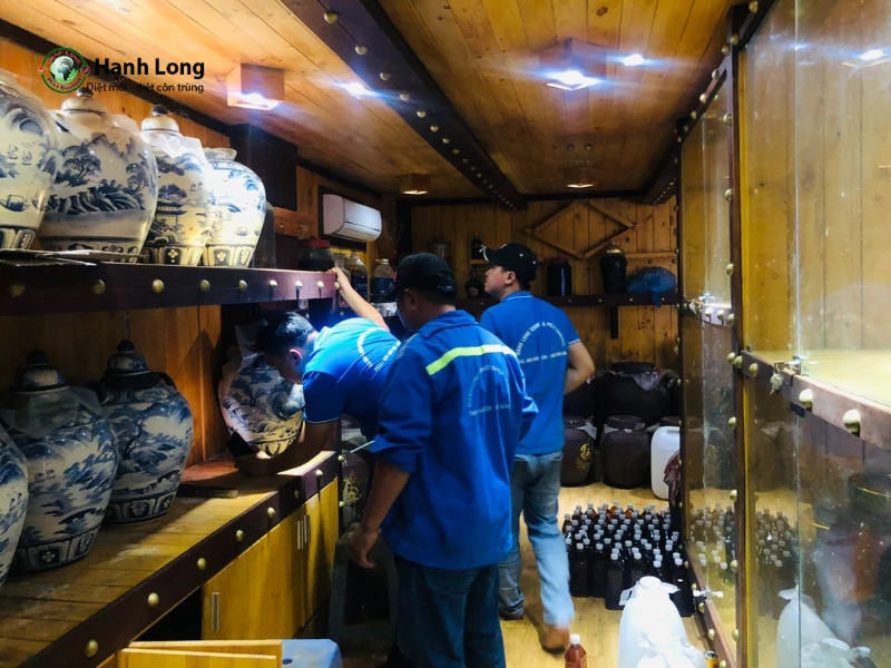 diệt mối tân phú