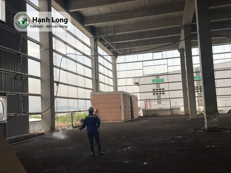 con mối cánh có hại không con mối cánh có hại không