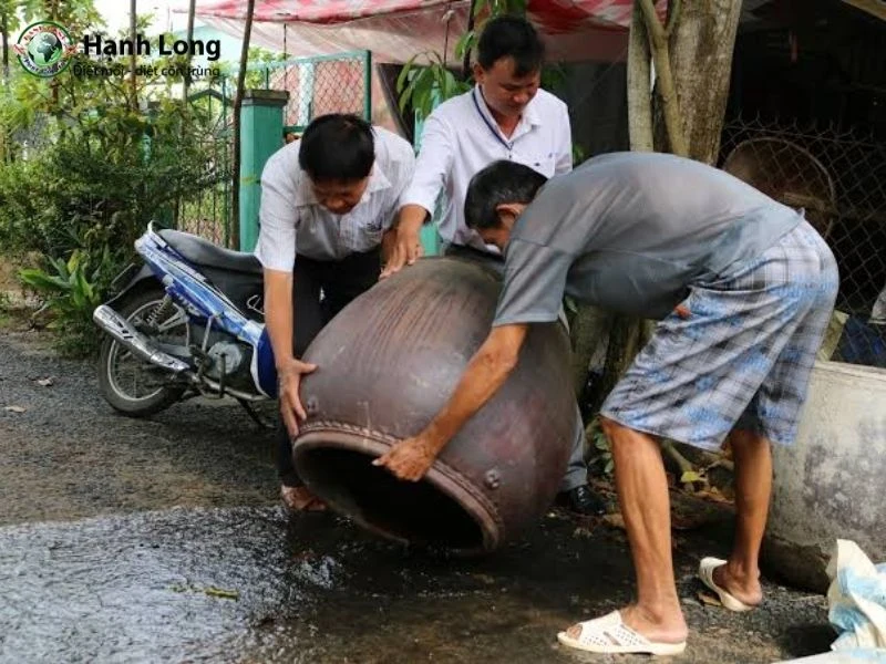 vết muỗi vằn đốt