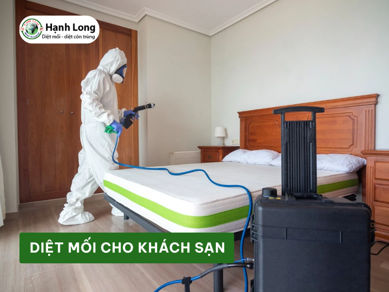 Diệt mối cho khách sạn