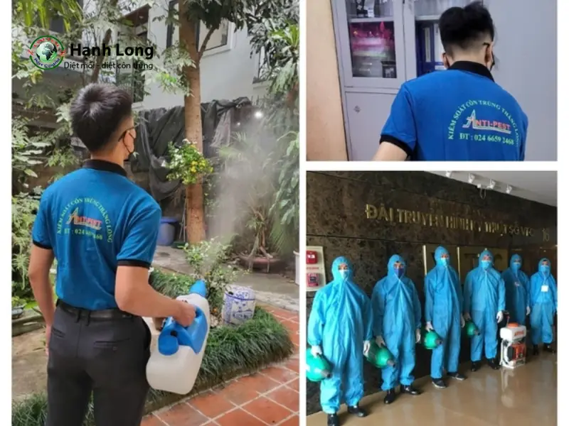 Đơn vị xử lý muỗi Thăng Long