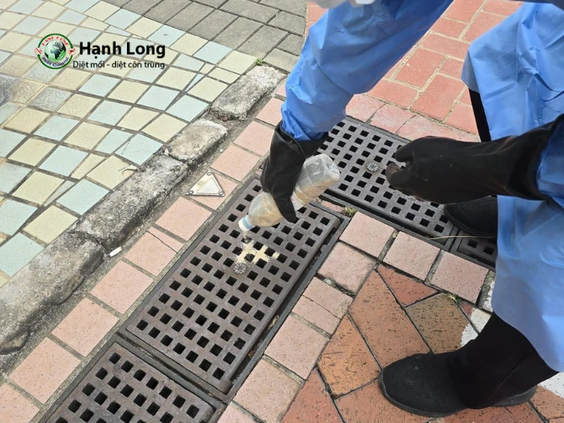 xử lý muỗi dưới cống xử lý muỗi dưới cống