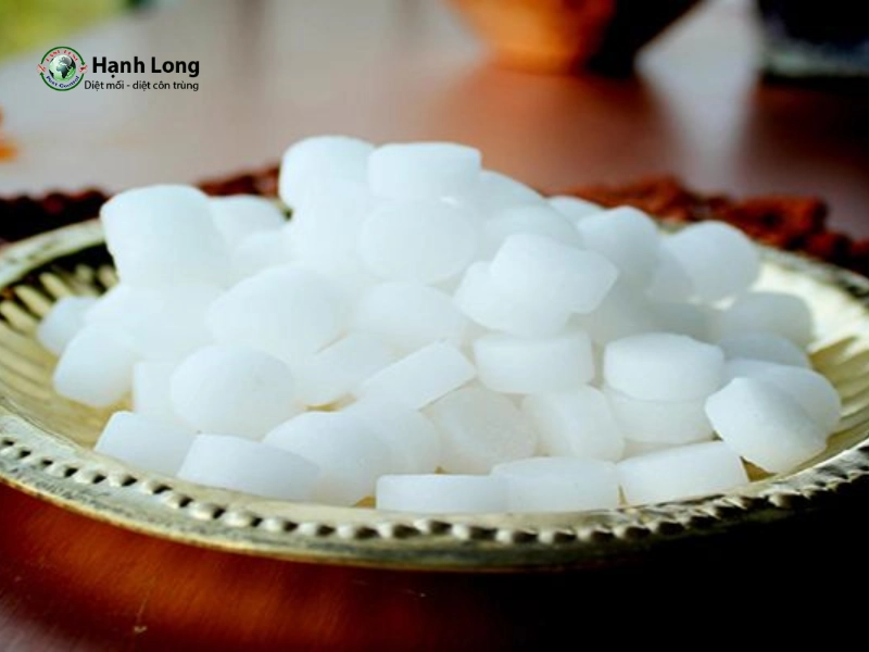 cách đuổi ong mật ra khỏi nhà