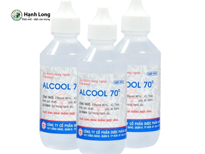 nguyên nhân mối mọt