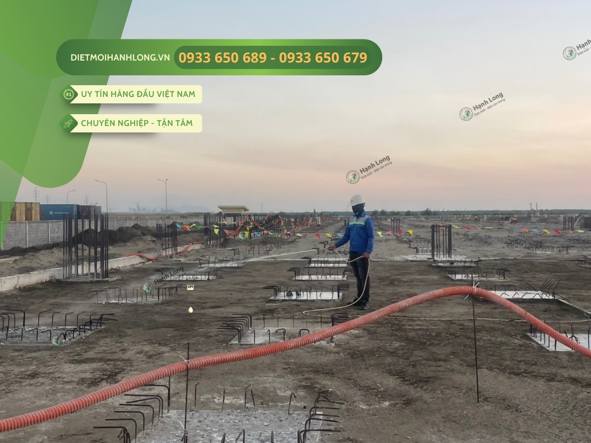 Triển khai phòng chống mối tại Phú Mỹ Vũng Tàu chuyên