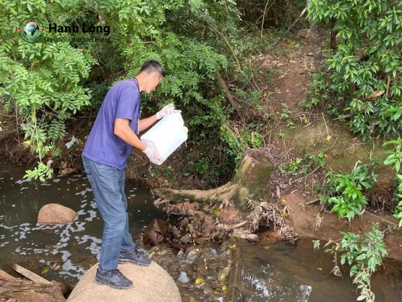 diệt bọ gậy diệt bọ gậy