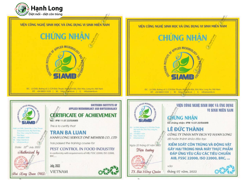 chống mối nền nhà