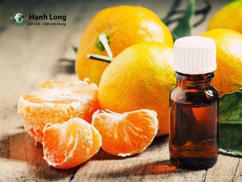 cách làm thuốc diệt muỗi tại nhà cách làm thuốc diệt muỗi tại nhà