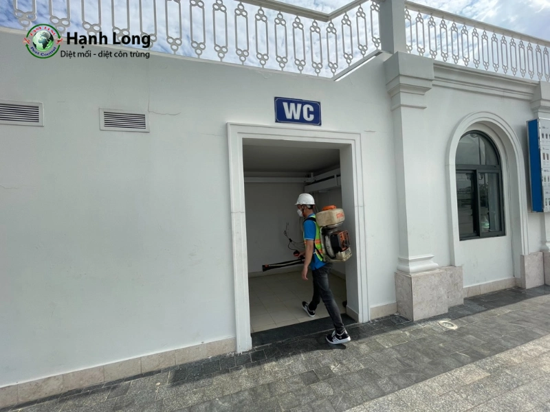 phun thuốc diệt côn trùng tại nhà