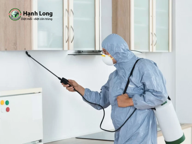 phun thuốc muỗi có độc không phun thuốc muỗi có độc không