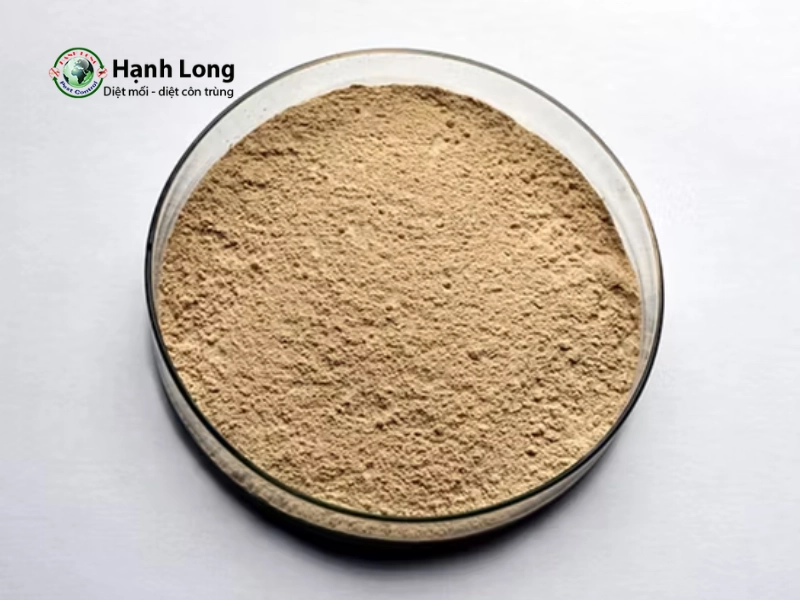 cách diệt muỗi ngoài vườn
