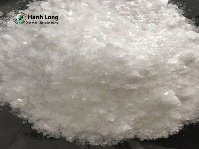 diệt mối sinh học diệt mối sinh học