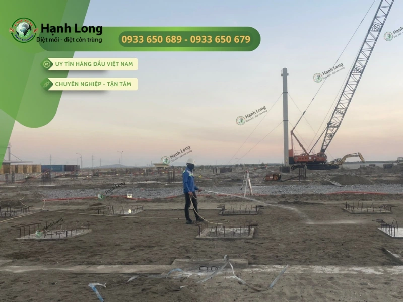 cách diệt mối trong tủ quần áo