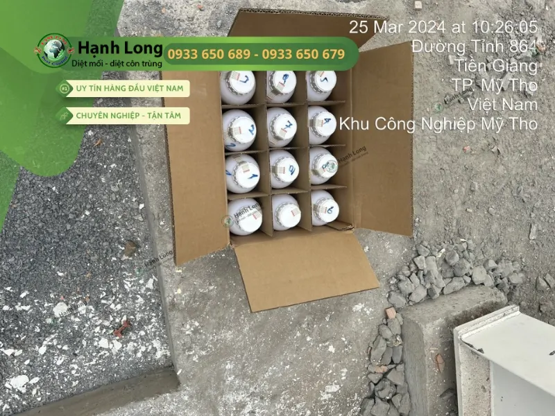 quy trình chống mối công trình