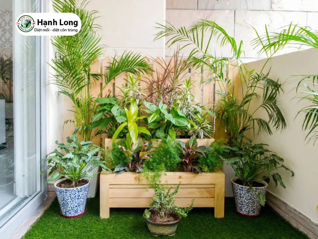 cách tiêu diệt kiến 3 khoang