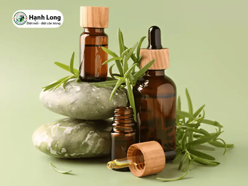 cách diệt mối trong tủ quần áo