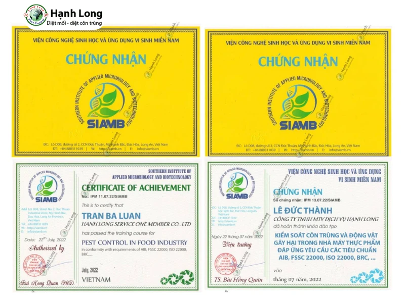 Diệt mối trường học