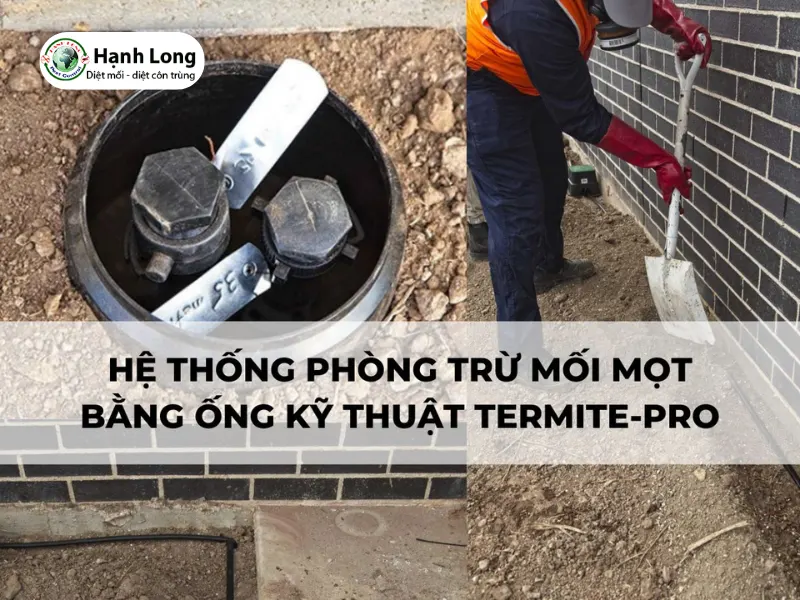 Hệ thống hàng rào TERMITE-PRO