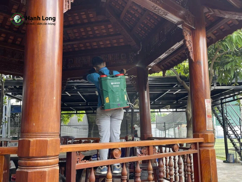 dịch vụ diệt mối quận 2