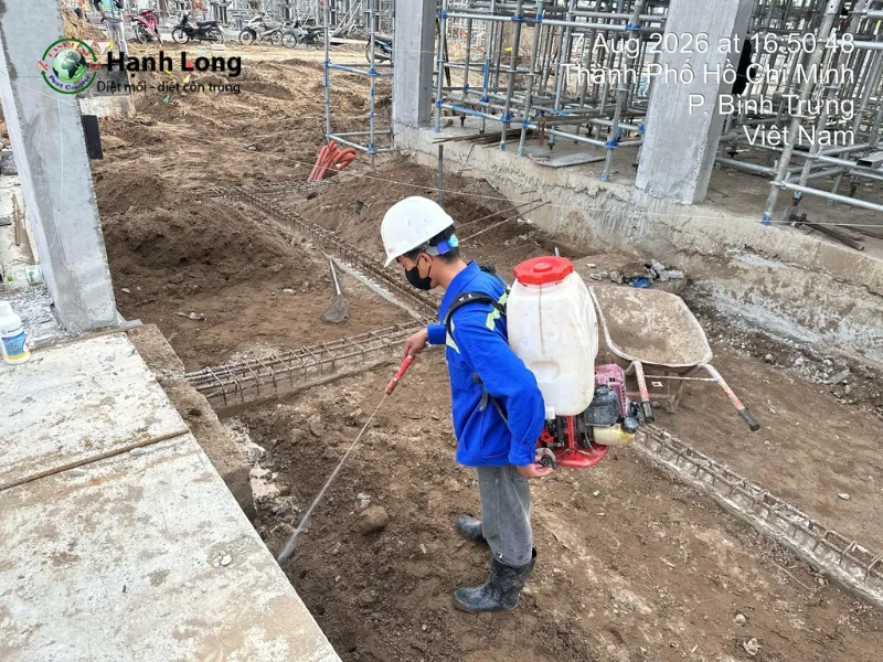 dịch vụ diệt mối tại nhà