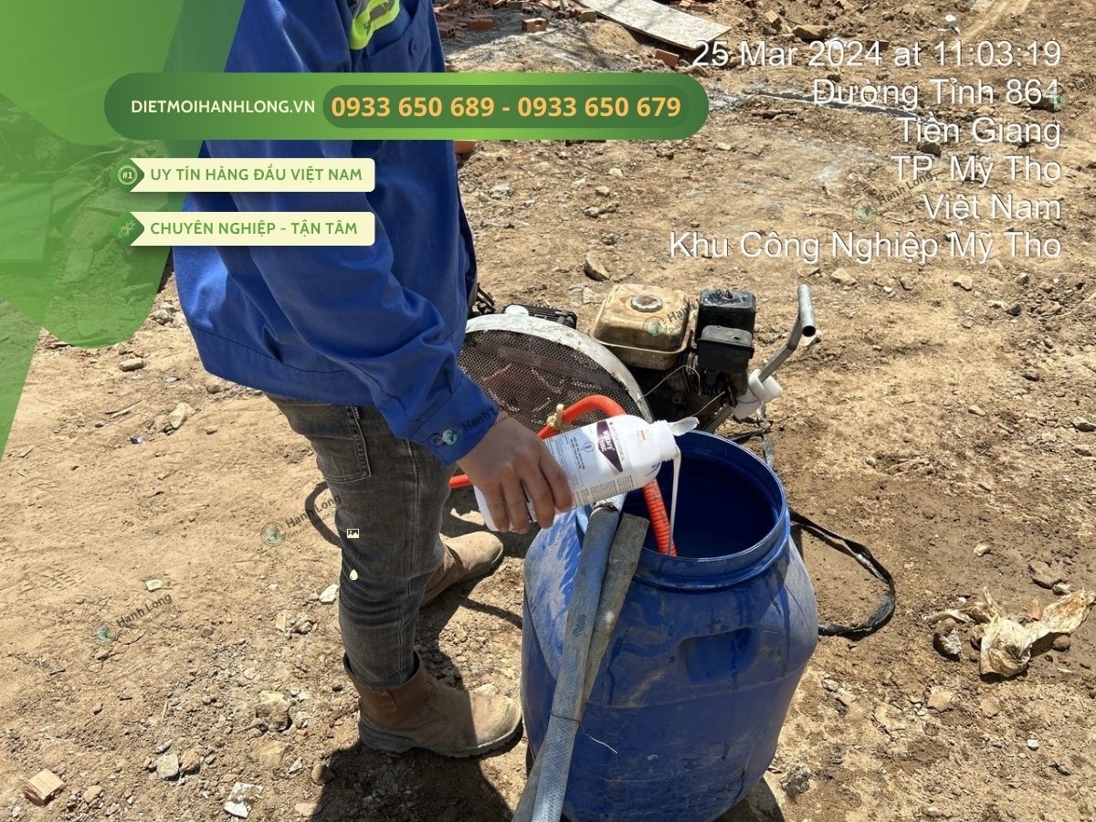 Thi công chống mối tại Mỹ Tho, Tiền Giang