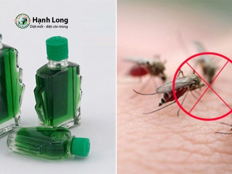 cách diệt muỗi trong nhà cách diệt muỗi trong nhà