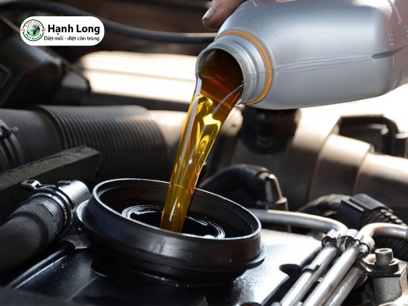 Diệt mối bằng dầu nhớt, cách làm nhanh nhưng có an toàn?