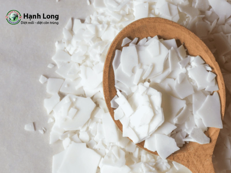 diệt mối mọt tại nhà