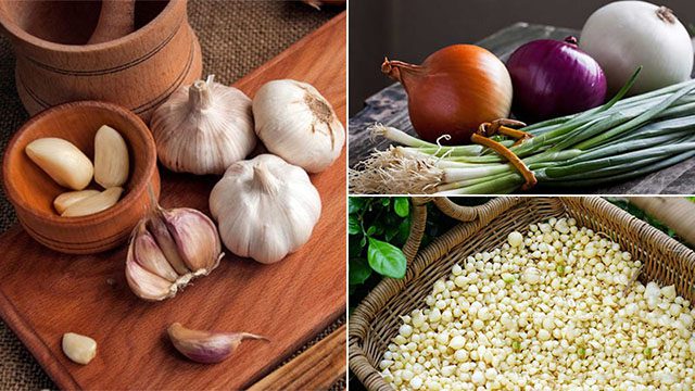 cách ngăn chặn rắn vào nhà 3