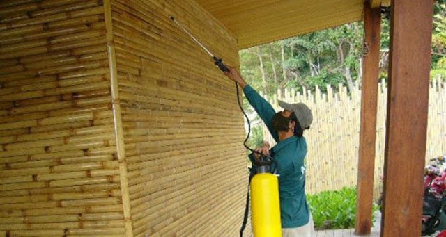 Xử lý chống mối mọt trên gỗ