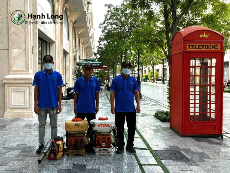 diệt mối bình thạnh