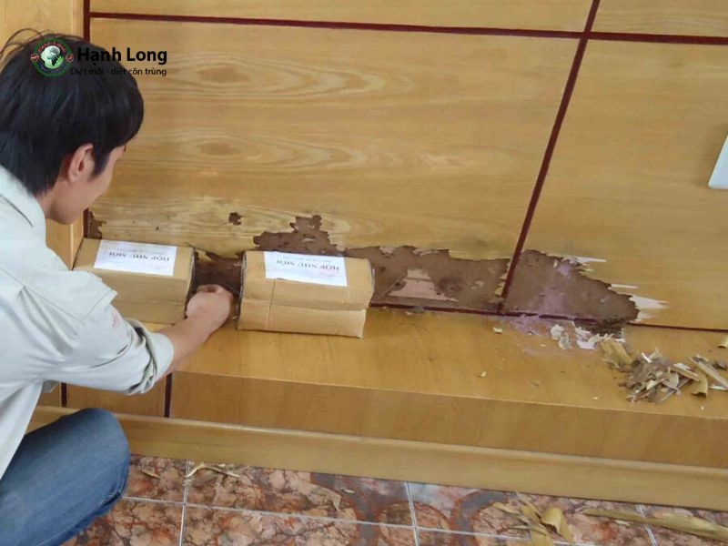 cách làm hộp nhử mối cách làm hộp nhử mối
