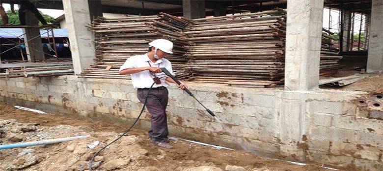 Mối từ nhà bên cạnh tấn công sang