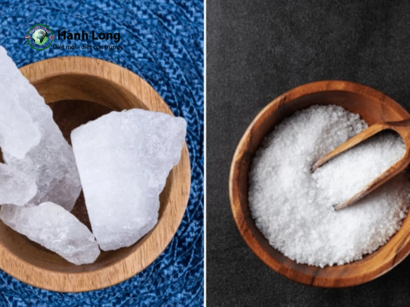 cách diệt muỗi trong nhà vệ sinh
