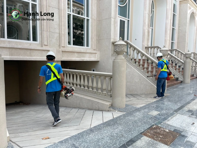 diệt muỗi quận 10 diệt muỗi quận 10