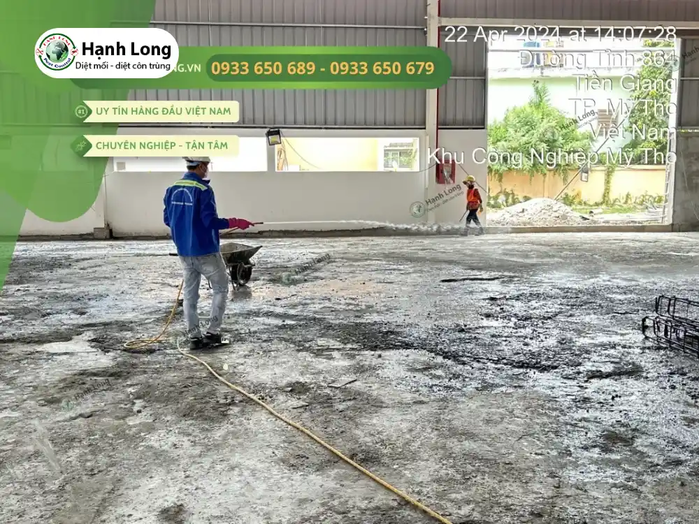 diệt côn trùng giá rẻ