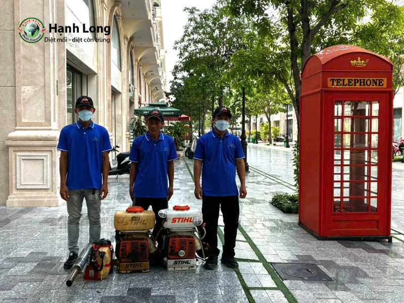 công ty dịch vụ diệt mối tận gốc tại nhà