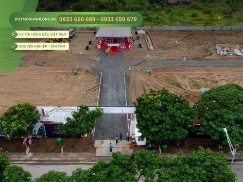 Lễ khởi công dự án Celesta Avenue | Thi công hệ thống chống mối TermSteel