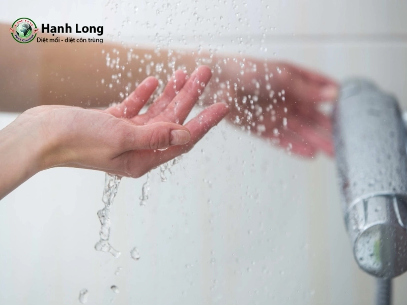 Mách bạn 15 cách trị mọt gỗ tại nhà an toàn, hiệu quả