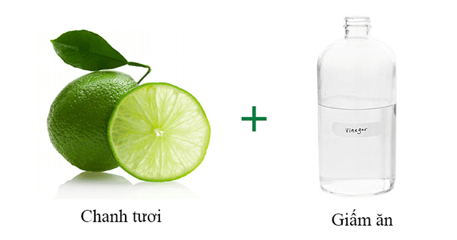 Diệt mối nhờ hỗn hợp giấm và chanh