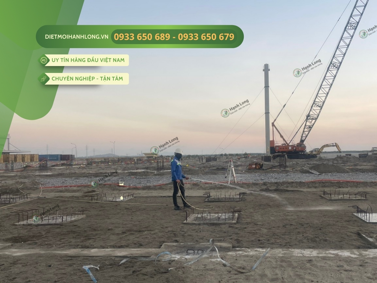 Đội ngũ Thi công chống mối tại Phú Mỹ Vũng Tàu chuyên nghiệp