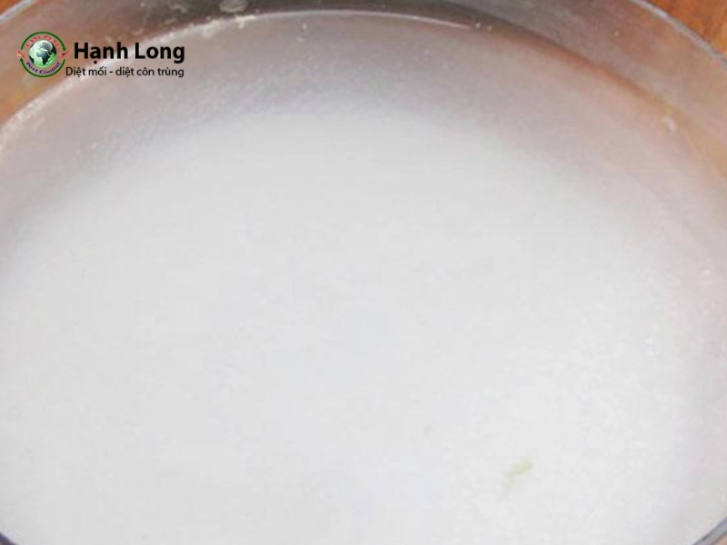 cách trị mọt gỗ tại nhà