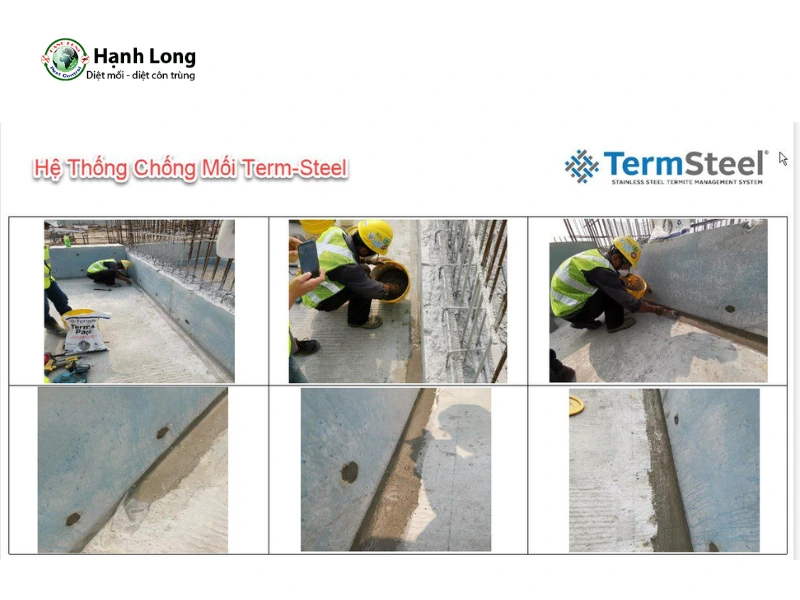 chi phí diệt mối tại nhà