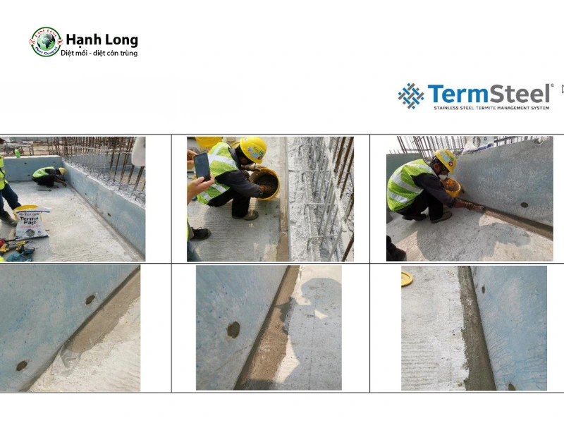 Lưới thép TERMSTEEL