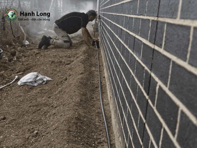 cách diệt mối dưới nền nhà