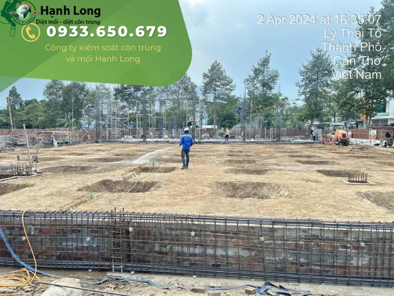 cách diệt mối trong tủ quần áo