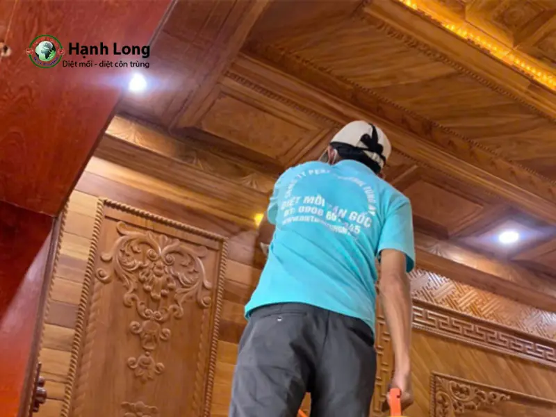 Đơn vị diệt muỗi Tùng My